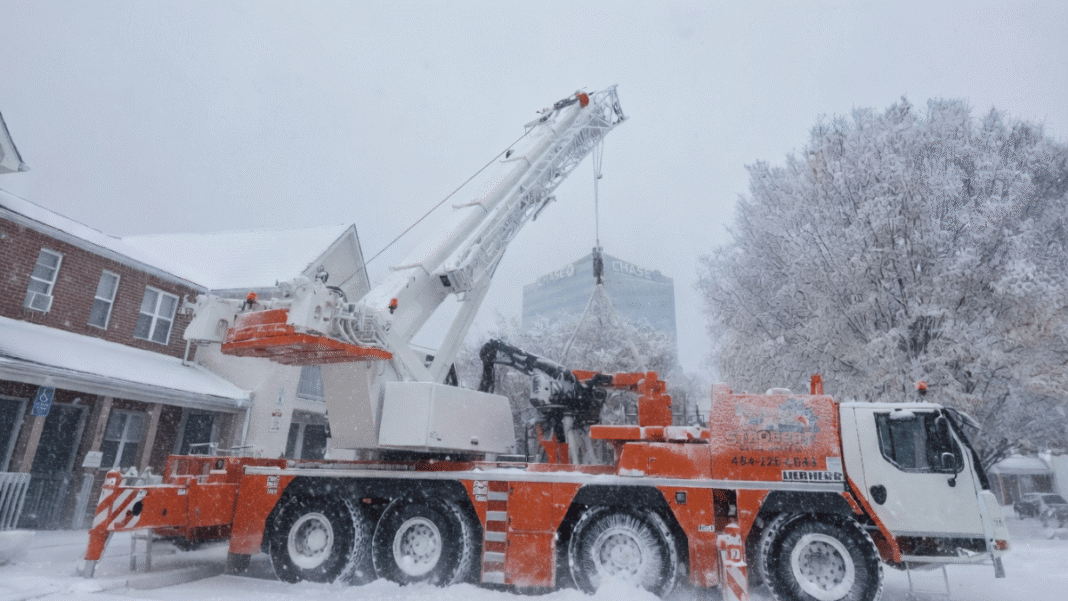 Local Experts at Strobert Tree Services Explain What to Watch For